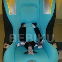 Britax Car Seat