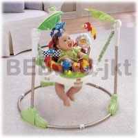 Fisher Price Rainforest Jumperoo