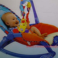 Fisher Price Bouncer Ayun