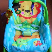 FIsher Price Bouncer Ayun