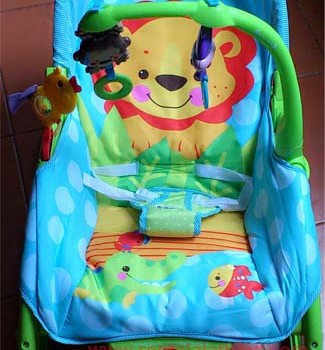 FIsher Price Bouncer Ayun