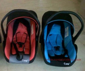 Car Seat Care