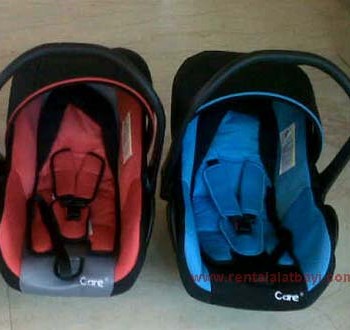 Car Seat Care