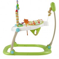 Fisher Price Space Saver Rain Forest Jumperoo