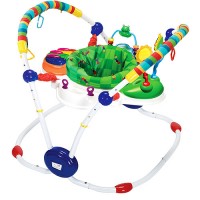 Baby Einstein Jumperoo Musical Motion