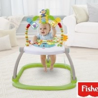 Fisher Price Space Saver Rain Forest Jumper