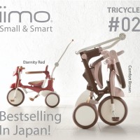IIMO 2 Tricycle